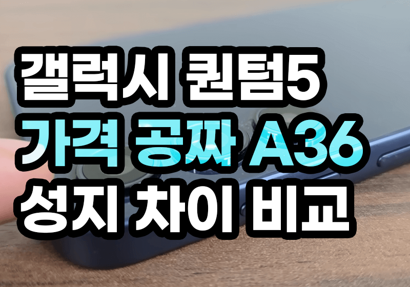 갤럭시퀀텀5 가격 공짜 A36 가성비 차이 비교하기